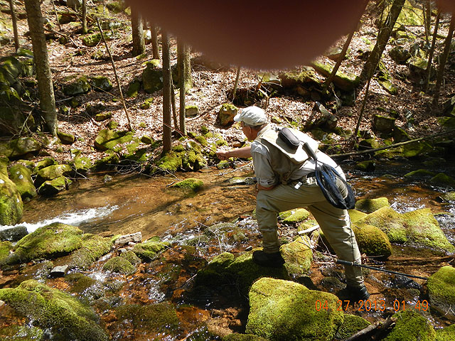 poe trip 04-26-2013 021.jpg -                                I call this dabble fishing.  It really works!